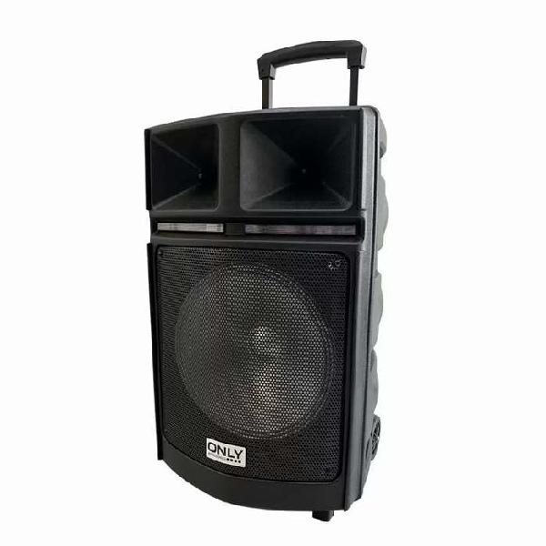 Parlante Woofer 12"