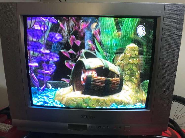 Televisor Sanyo 21 pulgadas