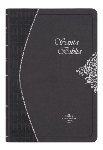 Biblia De Lujo Neat Gris Reina Valera 