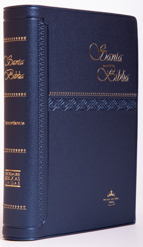 Biblia Grande Tapa Blanda Azul Reina Valera 