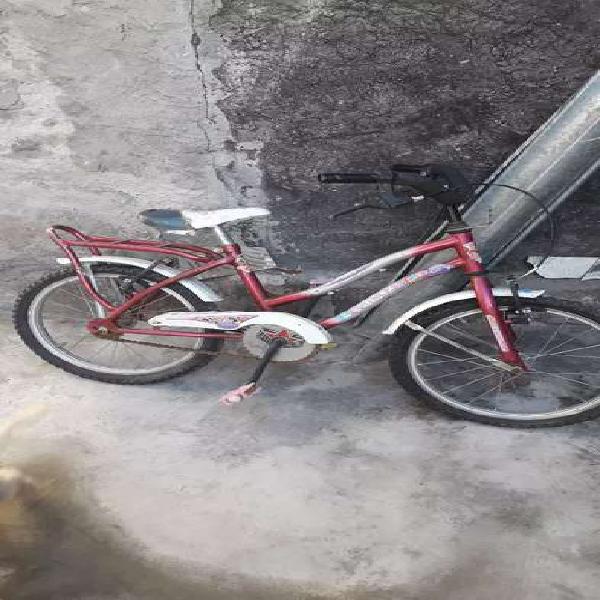 Vendo bici rod 14 para nena
