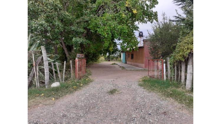 Finca 5 Has en Rama Caída, San Rafael, Mendoza