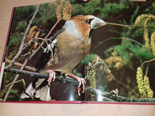 Enciclopedia De Los Animales Tomos