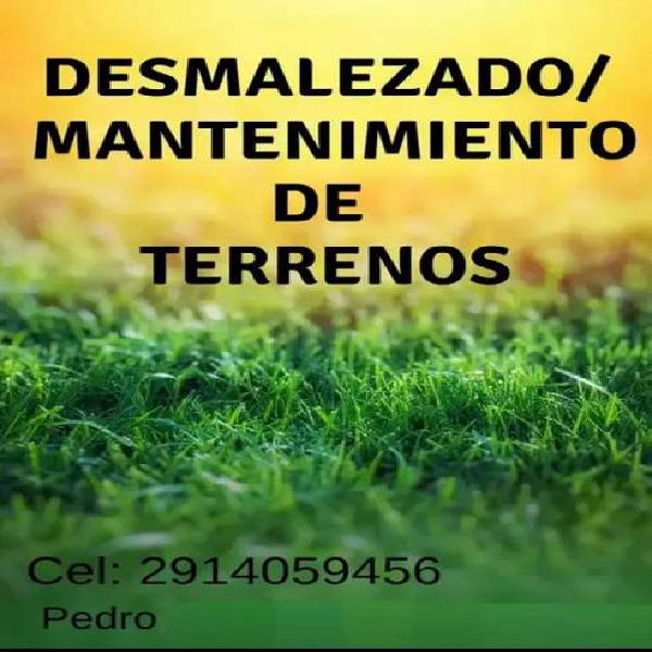 Desmalezado /mantenimiento terreno