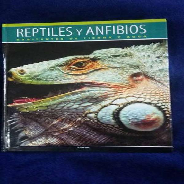 Reptiles y Anfibios. Mundo Animal.
