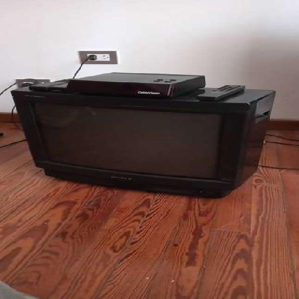 TV Sony 21" Trinitron