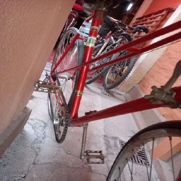 Bicicleta rodado 29 vendo