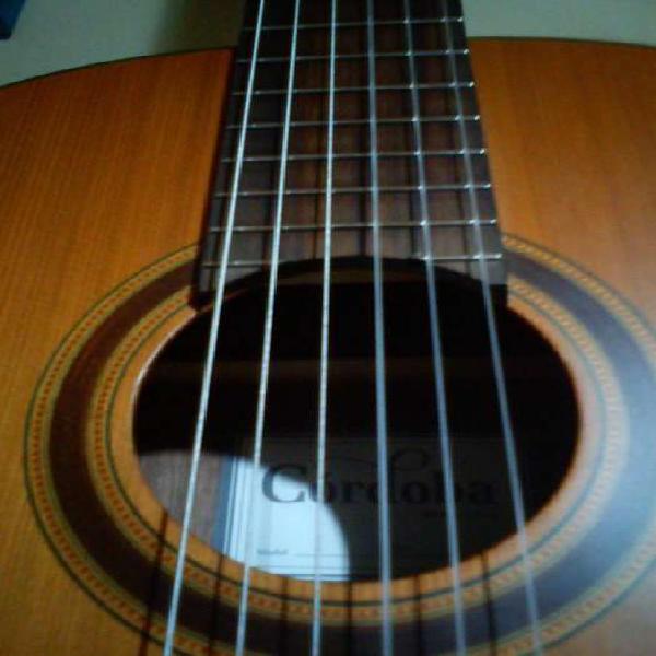 Córdoba c3m Guitarra Clásica Criolla Tapa cedro Excelente