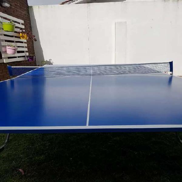 Mesa de Ping Pong profesional