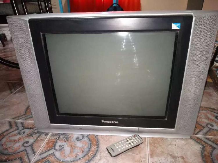 Televisor Panasonic 21 P