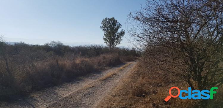 Terreno Villa Violeta San Luis