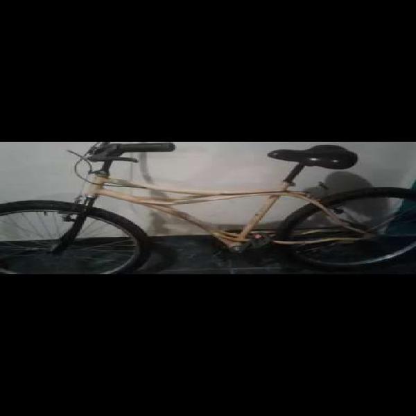 Bicicleta rodado 26