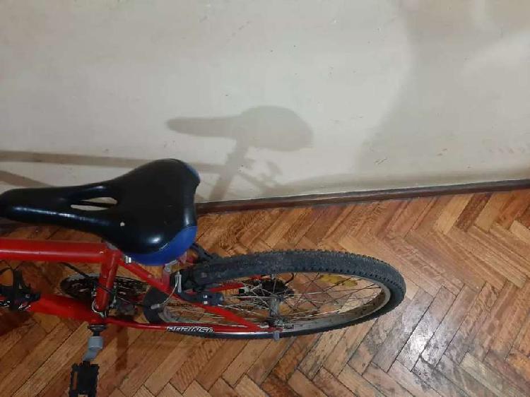 Vendo bici robinson