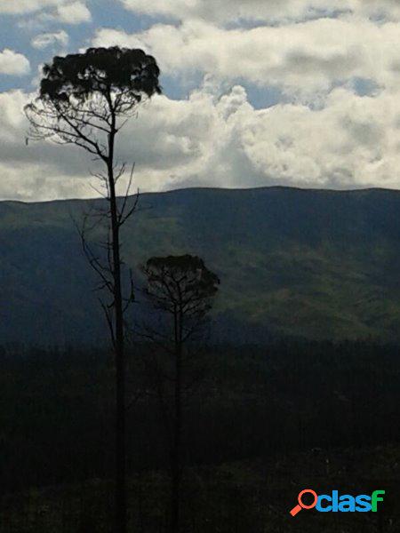 CAMPO IDEAL PARA INVERSORES