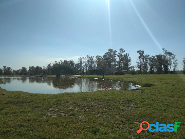 LOTE DE 3000 M2 -CHACRAS DEL RINCÓN - BARRIO CERRADO -