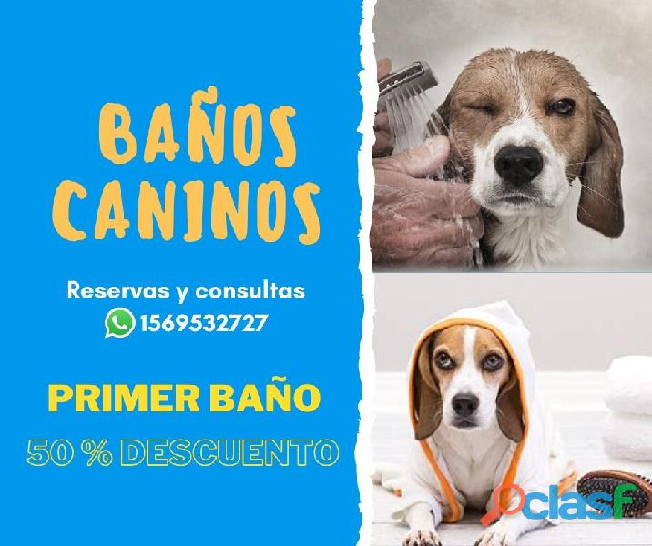 Baños caninos | Pet wash (Ramos Mejía)