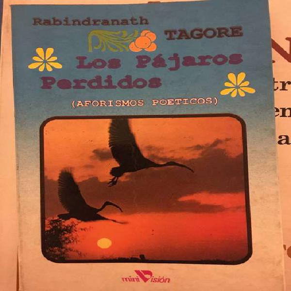 Los Pajaros Perdidos - Rabindranath