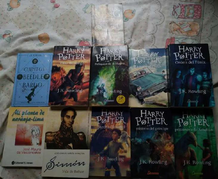 Saga completa Harry Potter + Extra PERFECTO ESTADO