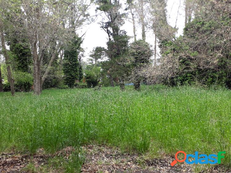 LOTE EN VENTA EN SIERRA DE LOS PADRES, MAR DEL PLATA