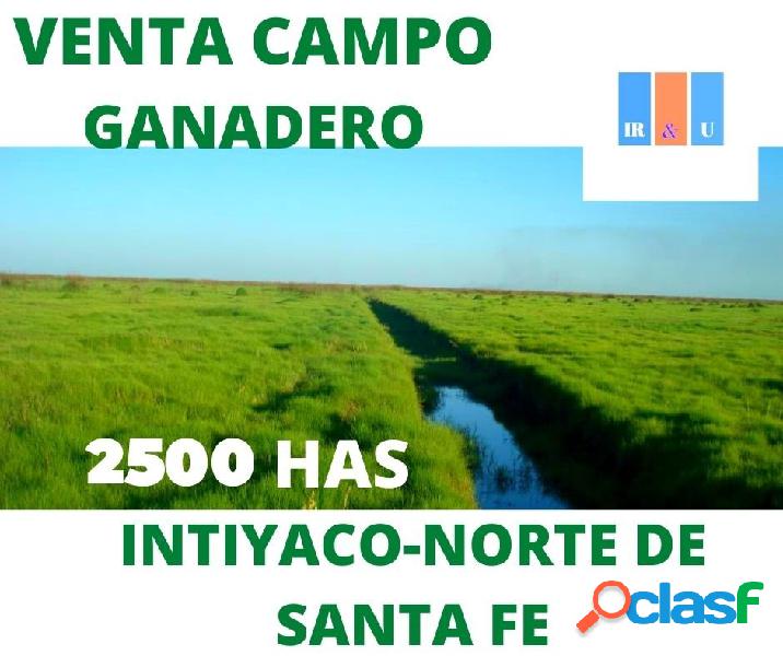 Campo ganadero: 2.500 Intiyaco