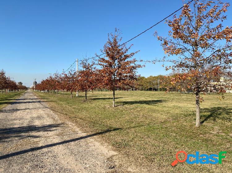 LOTE EN IBARLUCEA - BARRIO CERRADO CON ENTREGA INMEDIATA