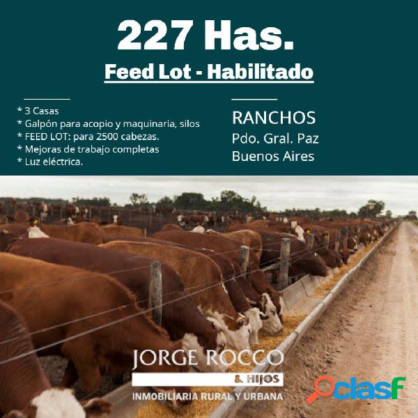 227 Has. en Ranchos - FEED LOT funcionando, Habilitado