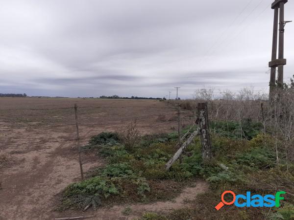 Campo Agrícola sobre Ruta 191- 7,5 Hectáreas - Pueblo