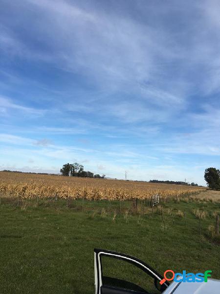 Venta de campo en Olavarría!