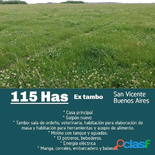 campo de 115 Has. ex tambo - San Vicente, Buenos Aires -