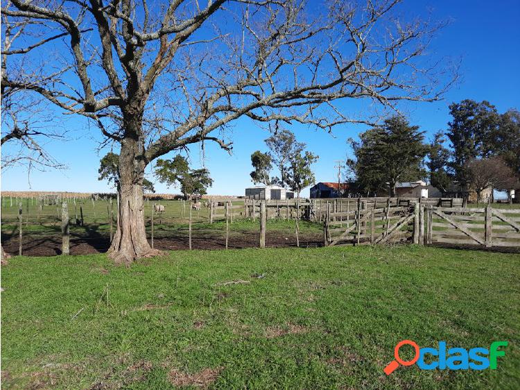 Campo en Venta Zona Dos Naciones