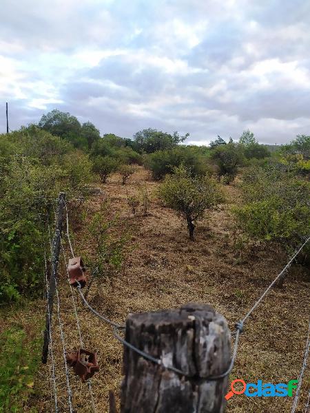 Único! excelente lote con costa al rio. Flor Serrana