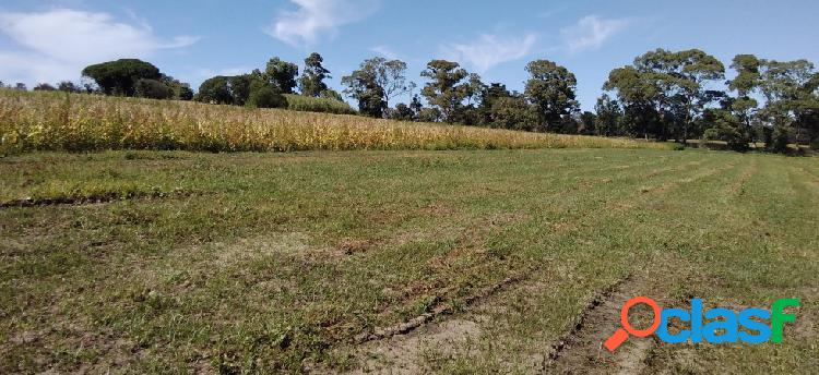 CAMPO APTO INVERNACULO Y SIEMBRA