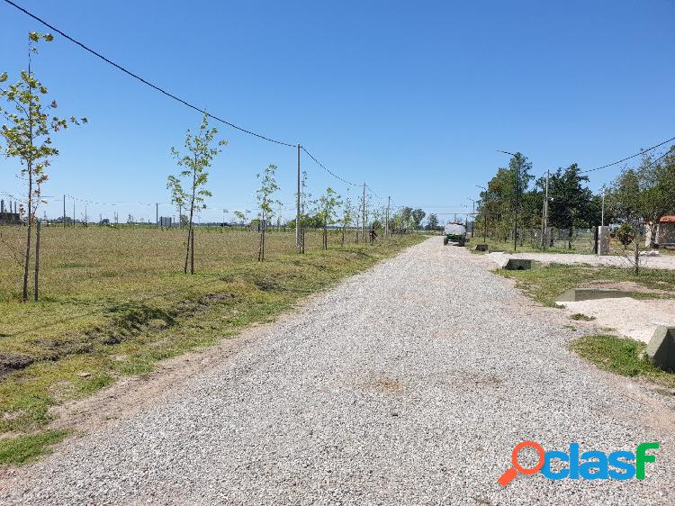 TERRENO EN PIÑEIRO ALVEAR VILLA AMELIA