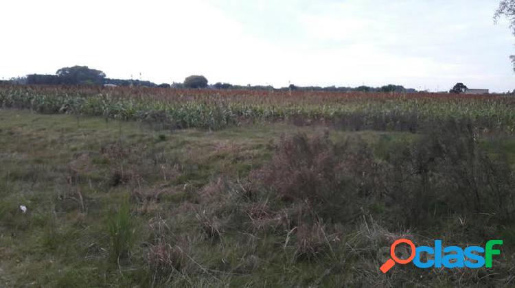 Campo en Colonia Estrella Ruta 21