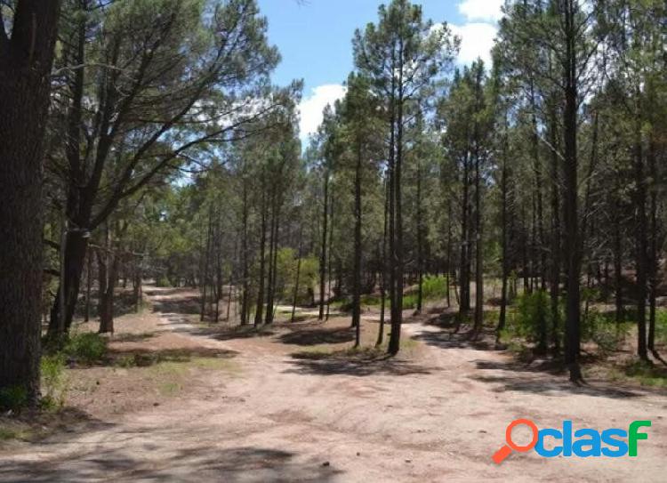 Terreno en Venta en Zorzales y Chacabuco