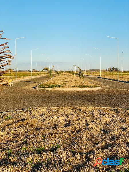 ESTANCIA LAS MORAS TODOS LOS SERVICIOS LOTES 300 M2