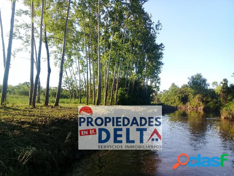 Lote en venta Delta del Tigre Arroyo Toro 80 m de frente con