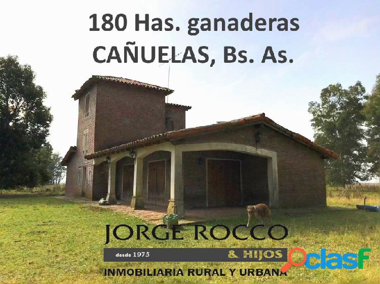 180 has. ganaderas en Pdo. de Cañuelas