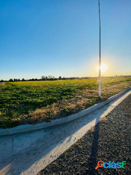 ESTANCIA LAS MORAS TODOS LOS SERVICIOS LOTES 318 m2