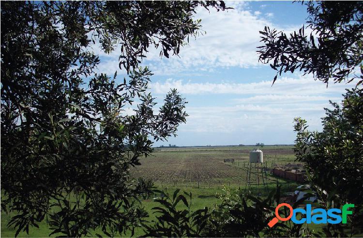 Campo en venta Madariaga