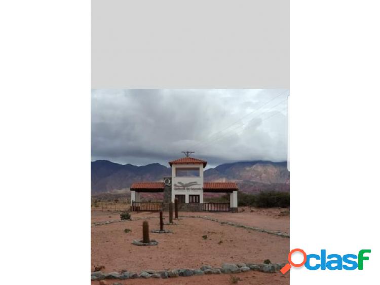 TERRENO A LA VENTA EN CAFAYATE