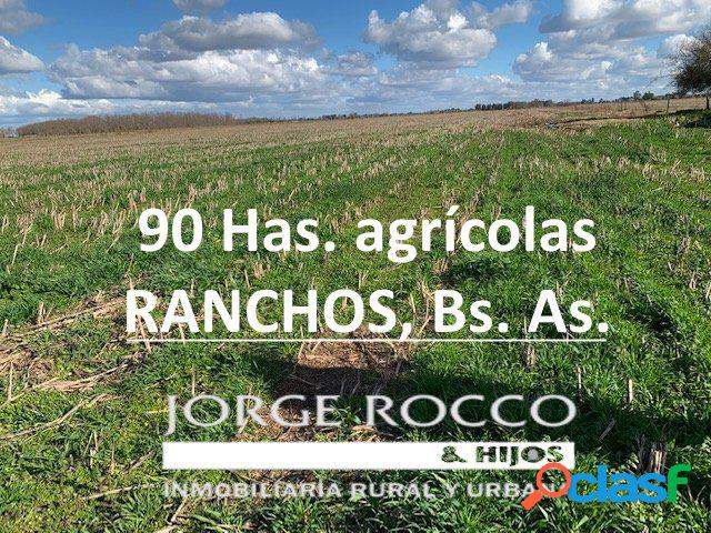 90 Has. Excelente campo agrícola de la zona - Ranchos