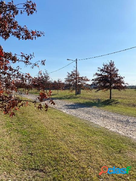 LOTES EN BARRIO CERRADO IBARLUCEA - BAJAS EXPENSAS -