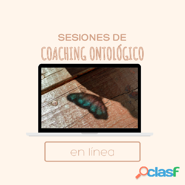 Sesiones de coaching (online)