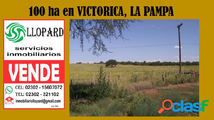 100 HA EN VICTORICA