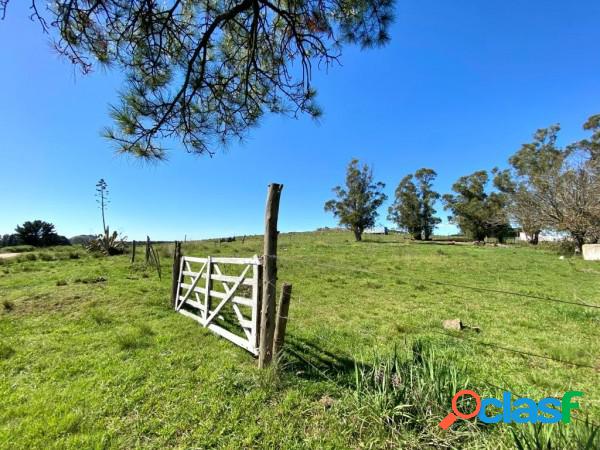 Lote en la Elena Tandil