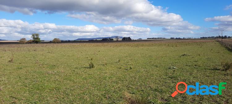 Campo Agrícola - Ganadero de 50 Ha cerca de Dos Naciones.