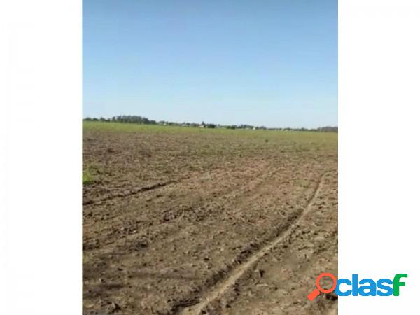 Campo en VENTA-IMPERDIBLE Gessler