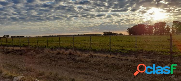 Campo mixto en venta en Juárez