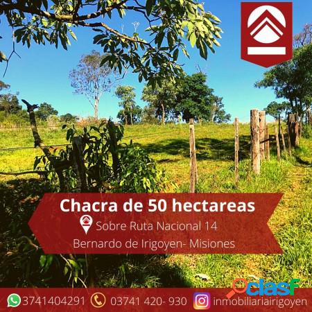 Chacra de 50 hectáreas